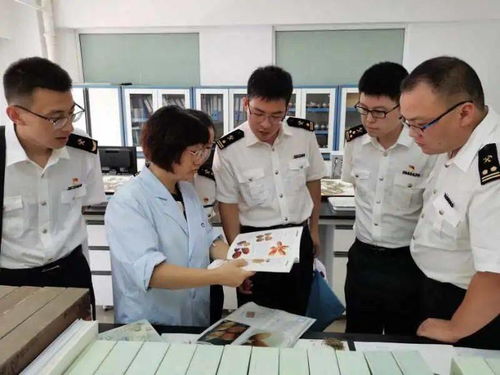 面向成年人的鑒定人培訓(xùn)服務(wù)簡介